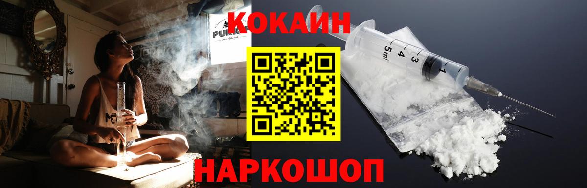 где продают   Вход с VPN  Cocaine Fish Scale  Новосибирск  КОКАИН Боливия  Кокаин 