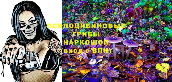 гашик Михайловск