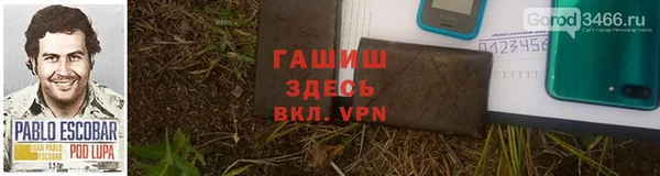 гашик Михайловск
