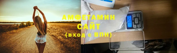 гашик Михайловск