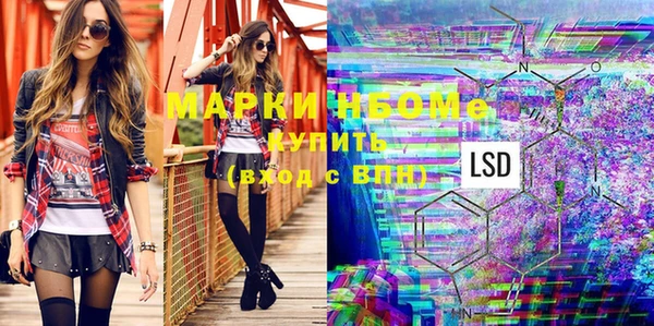 гашик Михайловск