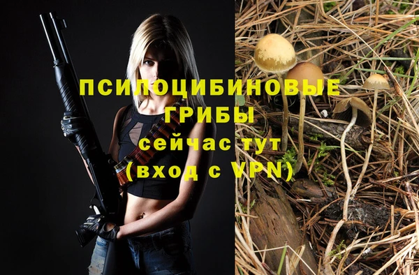 крисы Михайловка
