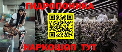 СК Гусев