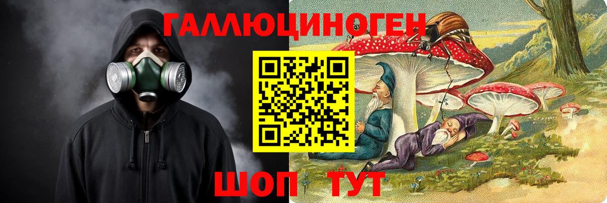 Новосибирск  Галлюциногенные грибы Psilocybe  сколько стоит  Вход с VPN 