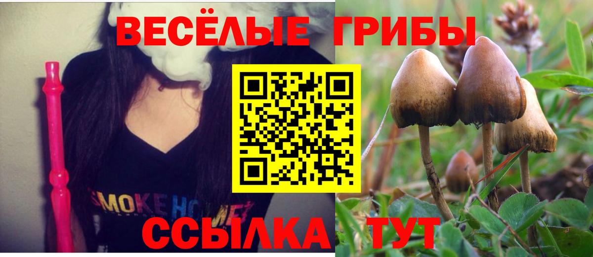 купить закладку  Новосибирск  Псилоцибиновые грибы MAGIC MUSHROOMS 