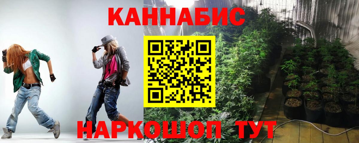 Шишки марихуана конопля Новосибирск