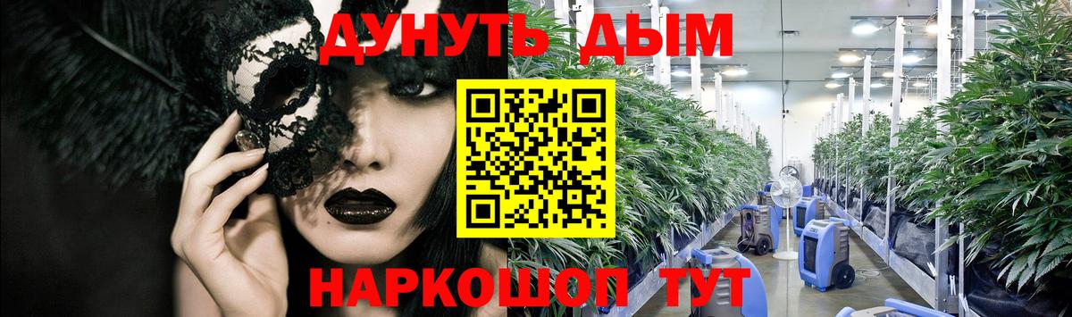 Конопля семена  Каннабис план  Новосибирск  МАРИХУАНА MAZAR  Вход с VPN  Шишки марихуана сатива 